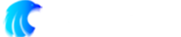 Bilge Law İnternational